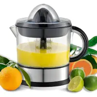 Ren Sapcentrifuge - Slowjuicer - Sapcentrifuges Groenten en Fruit - Nutribullet - Smoothie Maker - Zwart/Zilver - 15cm x 15cm x 21cm