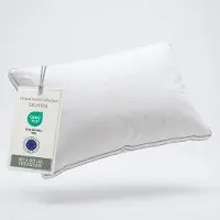 Blumtal Veren Kussen Lillabo - 3-kamer vullling - Oeko-TEX gecertificeerd kussen met verenvulling - Katoenen Hoes - 40 x 80 cm