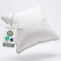 Blumtal Veren Kussen Lillabo - 3-kamer vullling - Oeko-TEX gecertificeerd kussen met verenvulling - Katoenen Hoes - 80 x 80 cm - Set van 2