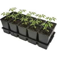 Garronda Kweektray met 10 x 1,7 L potten GD-KW-T