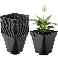 Garronda Set van 20 afgeronde vierkante kunststof kweekpotten met drainagegaten voor tuin (Zwart, 18 x 18 x 18 cm (4L)) GD-KW-SR