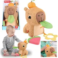 Sarcia.eu Fisher-Price Pluche CAPIBARA, zintuiglijke knuffel, speen voor baby, 3 maanden +
