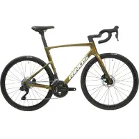 RINOS Odin6.0 Carbon Road - Racefiets - met UCI Frameset - met SHIMANO Di2 - 24 versnellingen en schijfremmen - lichte fiets voor dames en heren - 700 x 40C -Kameleon Goud Groen L