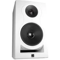 Audio-Technica IN-8W V2