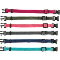 Trixie Puppy Collars