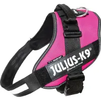 JULIUS K-9 IDCPowertuig, 2XL - maat 3, donkerroze