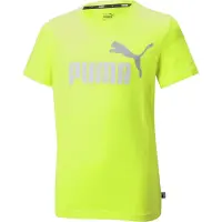 Puma Ess 2 Col Logo T-shirt