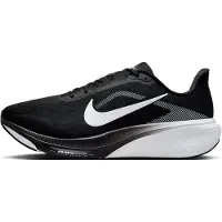 Nike Hardloopschoenen Pegasus 42 | Maat 45