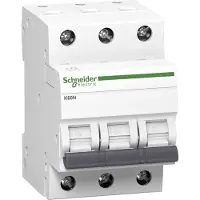 Schneider Electric 3814636 Zekeringautomaat 6 A