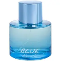 Kenneth Cole Blue Eau de Toilette, 100 ml (voor heren)