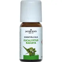 Jacob Hooy Essentiële Olie Eucalyptus Radiata