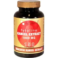 Artelle Fytoline kaneelextract 1000mg