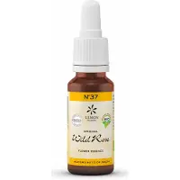 Original Bachblüten Wild rose bio
