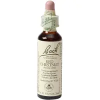 Bach Flower Remedies Rode Kastanje 25