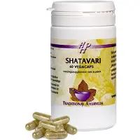 Holisan Shatavari Capsules 60st