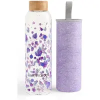 Waterdrop Glazen drinkfles boost 600ml