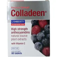 Lamberts Colladeen
