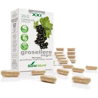 Soria natural 23-S Ribes nigrum XXI