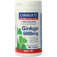 Lamberts Ginkgo 6000mg Time Release Tabletten