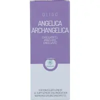 Oligoplant Angelica Arch Rpv