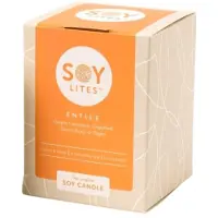 Soylites Soycandle Entice - Ginger, Cinnamon, Grapefruit, Sweet Orange & Pepper