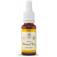 Bach Bloesem Bach bloesemremedies cherry plum bio
