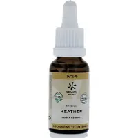 Bach Heather bio