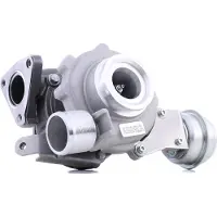 RIDEX 2234C0407 Turbocharger