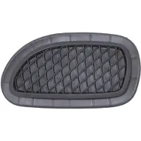 Diederichs 1641147 Ventilatiegrille, bumper