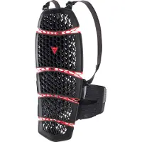 Dainese Pro-armor 2.0 Long Rugbeschermer