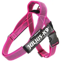 JULIUS K-9 riemtuig roze maat Mini