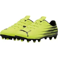 Puma Attacanto Ii Fg/ag Junioren Voetbalschoenen