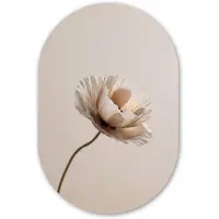 MuchoWow Muurovaal 80x120 cm - Ovale wanddecoratie Bloem - Beige - Crème - Ovalen schilderij - Muurdecoratie woonkamer - Kamer decoratie - Schilderijen - Wandcirkel