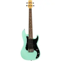 Flight Mini Bass Lite SFG + housse