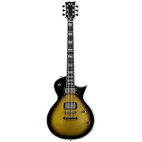 Esp Ltd BK-600 Vintage Silver Sunburst Bill Kelliher Signature elektrische gitaar met koffer