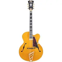 D'angelico Excel Exl-1 Amber
