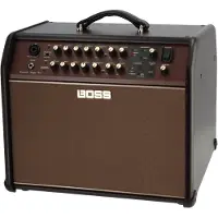 Roland ACOUSTIC SINGER PRO