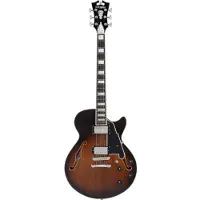 D'angelico Premier SS Brown Burst Stopbar semi-akoestische gitaar met gigbag