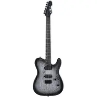 Esp Ltd TE-1000 Silver Blast Elektrische gitaar
