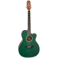 Takamine LTD2025 Gloss Antique Evergreen Elektro-akoestische gitaar