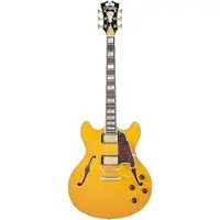 D'angelico Excel Dc Vintage Natural