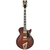 D'angelico Deluxe Ss Satin Brown Burst