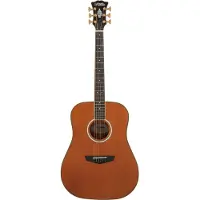 D'angelico Lexington Vintage Natural