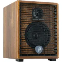 Prodipe Natural 6 V2 Walnut Wood akoestische gitaarversterker