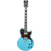D'angelico Premier Brandon Niederaeur Signature