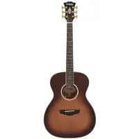 D'angelico Tammany Autumn Burst