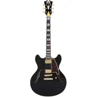 D'angelico Excel DC Stopbar Solid Black semi-akoestische gitaar met koffer