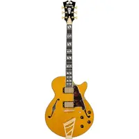 D'angelico Excel SS Amber semi-akoestische gitaar met gigbag