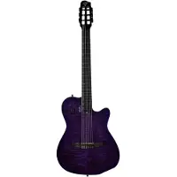 Godin ACS Nylon Steve Stevens Signature 25th Anniversary elektrisch-akoestische klassieke gitaar met koffer