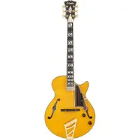 D'angelico Excel SS Soho Amber semi-akoestische gitaar met gigbag